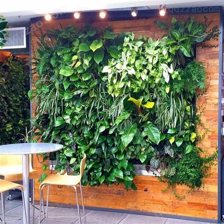 植物墙批发 植物墙新品绿植 新款仿真植 材植物墙 植物墙批发 武汉植物墙定制