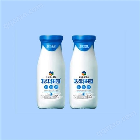 牧牛庄园原味酸奶饮品310ml整箱发酵饮品健康代餐