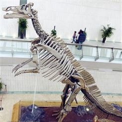 制作出售仿真恐龙化石博物馆大型恐龙骨架模型来图定制