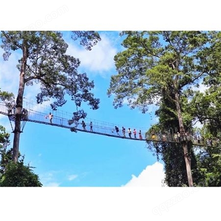 空中走廊 景区观景桥 悬空走廊 设计施工 吊桥 丛林项目