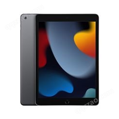 Apple【教育优惠版】iPad 10.2英寸平板电脑 2021年款256GB WLA