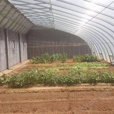 蔬菜温室大棚蔬菜种植大棚种类 爱尔兰大棚蔬菜种植大棚设计 聚丰