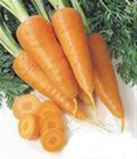 胡萝卜素食品级营养强化剂水溶着色剂可用于饮料食品等