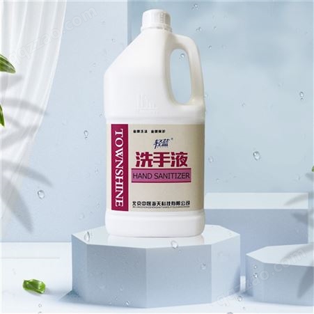 洗手液日化产品批发零售价优物美4桶/箱