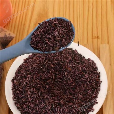 桂花甲紫米500克 养生粥米稻米 云南品牌厂家直供