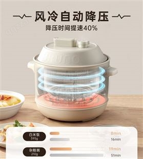 日本BRUNO电压力锅家用小型智能电高压锅多功能预约饭煲自动排气