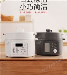 日本IRIS爱丽思电压力锅家用小型爱丽丝电高压锅电饭煲饭锅多功能