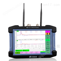 RSM-PDT（C）创新高应变无线采集模式
