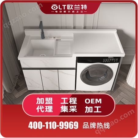 欧兰特 阳台洗衣柜生产厂家 卫生间伴侣浴室柜 组合收纳柜 可非标定制