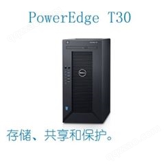 PowerEdge T30微塔式服务器