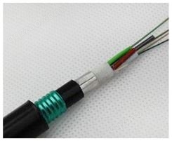 16芯室外光缆铠装层绞式单模光纤GYTA53光缆线双铠双护套