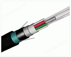 24芯室外光缆铠装层绞式单模光纤GYTA53-24B1.3光缆线双铠双护套