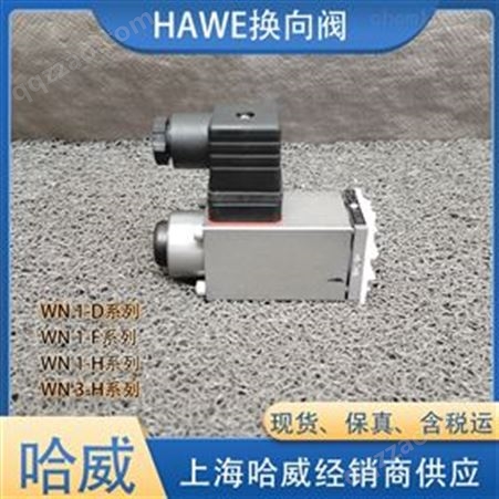 德国HAWE哈威WH1R-X24电磁换向阀