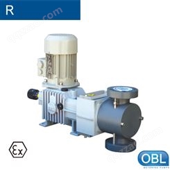 意大利OBL泵R柱塞计量泵