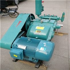 广东佛山螺杆式排污泥浆泵 宜昌注浆机BW250型卧式耐磨活塞泵