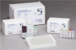 小鼠胸腺活化调节趋化因子（TARC/CCL17）检测试剂盒