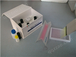 人白介素9（IL-9）ELISA试剂盒