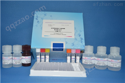 人麻疹病毒IgM（MV IgM）ELISA试剂盒