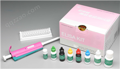 人白介素1β （IL-1β）ELISA试剂盒