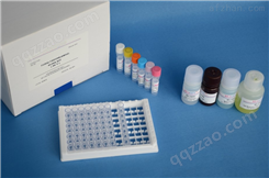 人白介素4（IL-4）ELISA试剂盒
