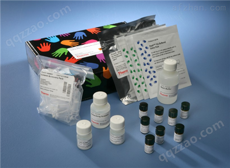大鼠前列腺特异性抗原（PSA）ELISA试剂盒